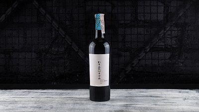 Вино Les Grands Chais de France Diaguita Malbec красное сухое 0,75 - Мястория