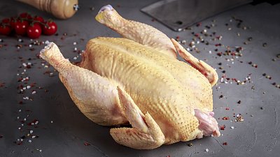 Тушка домашней курицы - Мястория